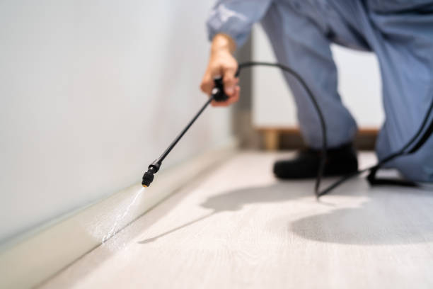 Certified termite inspector examining foundation in Jensen Beach